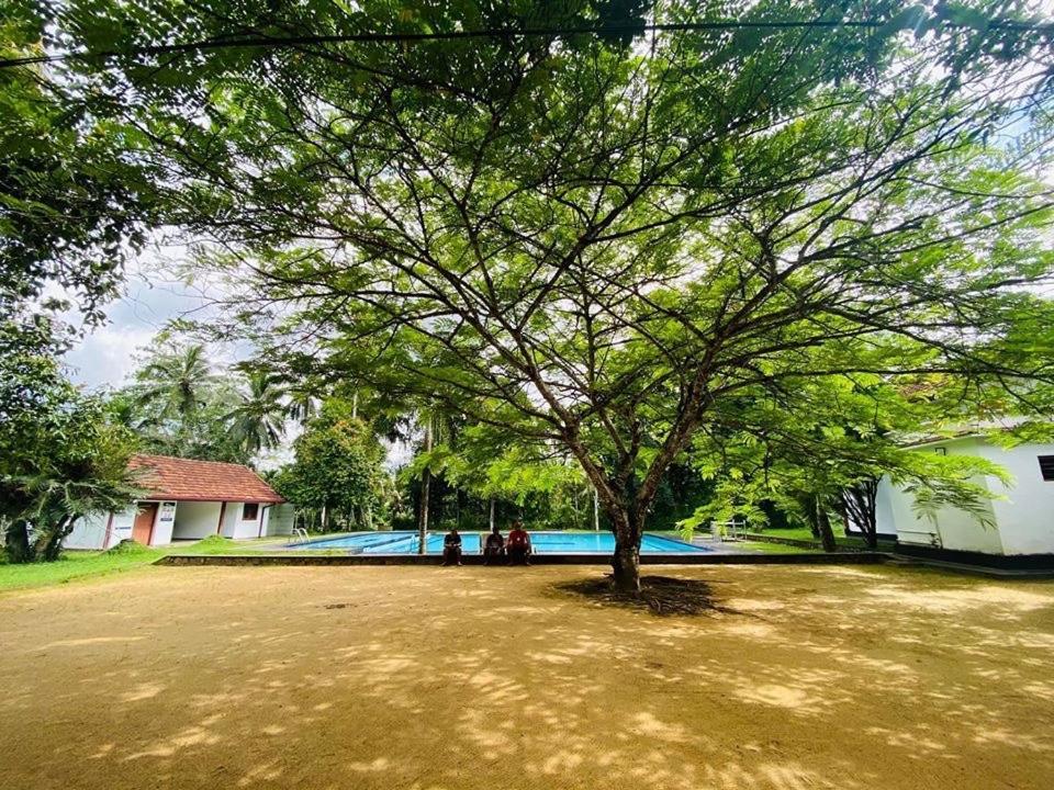 Randiyaepiliyagoda Resort Avissawella Dış mekan fotoğraf