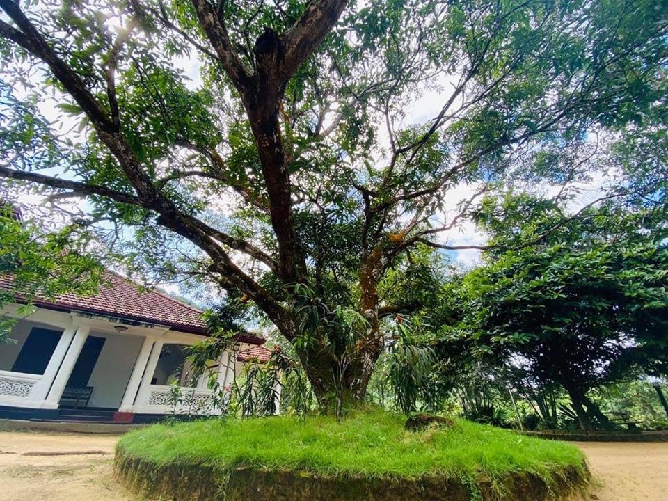 Randiyaepiliyagoda Resort Avissawella Dış mekan fotoğraf