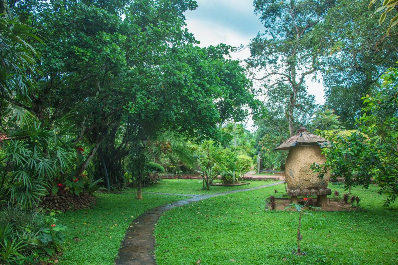 Randiyaepiliyagoda Resort Avissawella Dış mekan fotoğraf