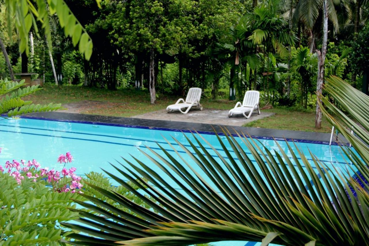 Randiyaepiliyagoda Resort Avissawella Dış mekan fotoğraf
